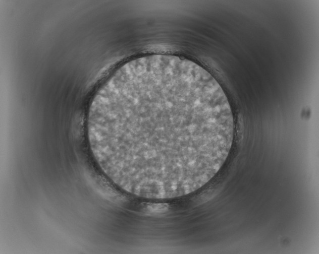 X0000112150355200909181428