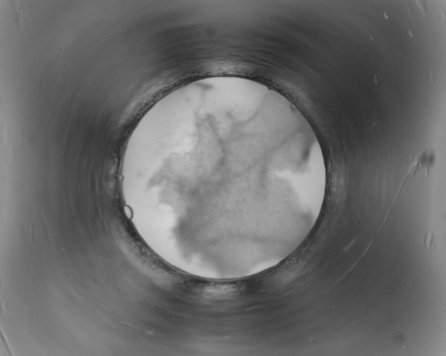 X0000112150357200909181428