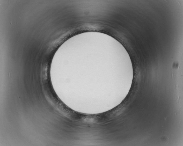 X0000112150358200909181428