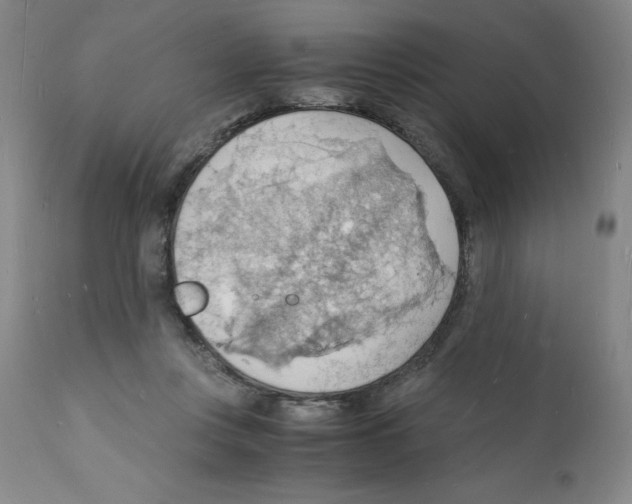 X0000112150359200909181428