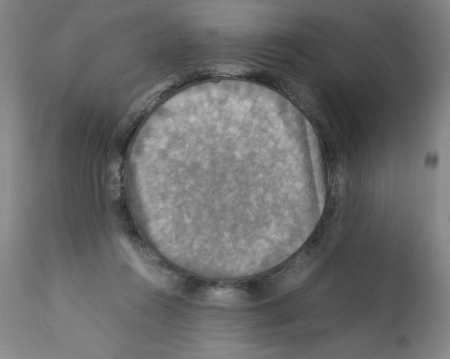 X0000112150360200909181429