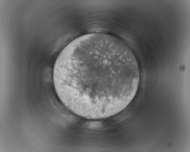 X0000112150361200909181429