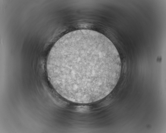 X0000112150363200909181429
