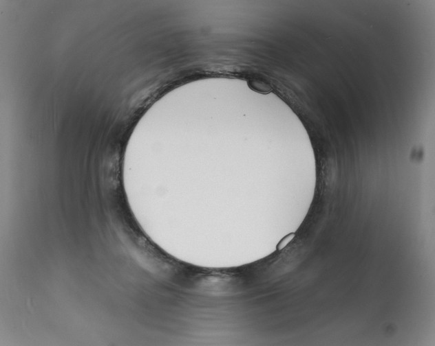 X0000112150364200909181429