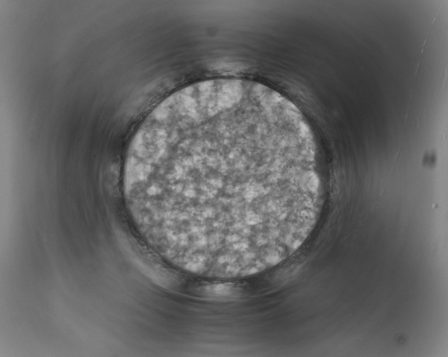 X0000112150365200909181429