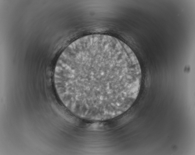 X0000112150366200909181429