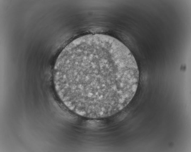 X0000112150367200909181429