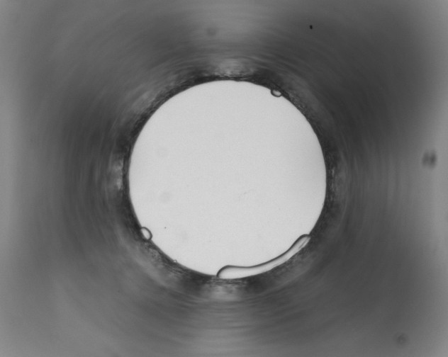 X0000112150368200909181429