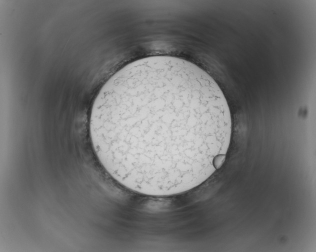 X0000112150369200909181429