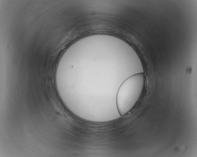 X0000112150370200909181429