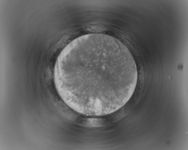 X0000112150371200909181429