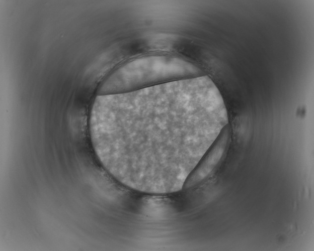 X0000112150372200909181429