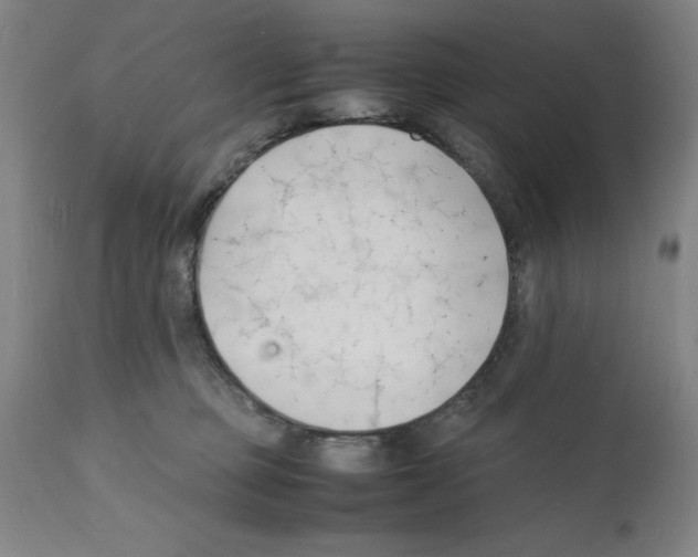 X0000112150373200909181429