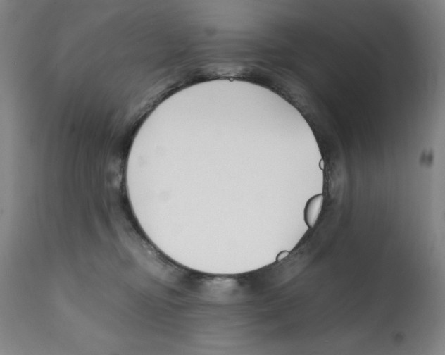 X0000112150374200909181429