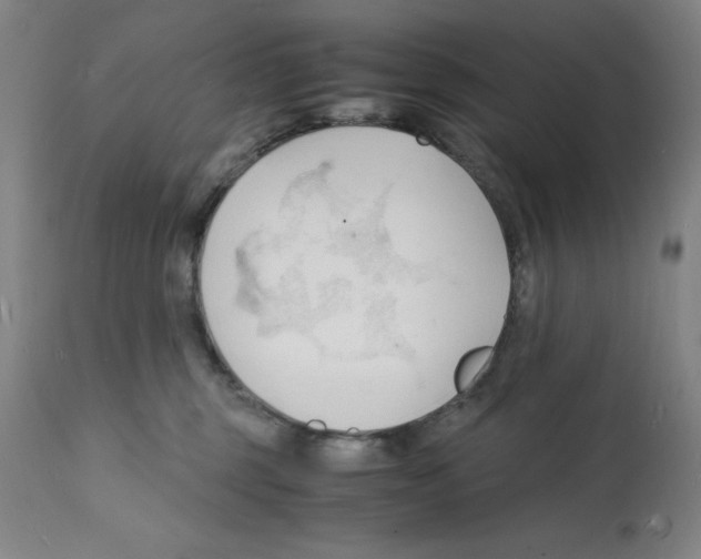 X0000112150375200909181429