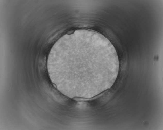 X0000112150376200909181429