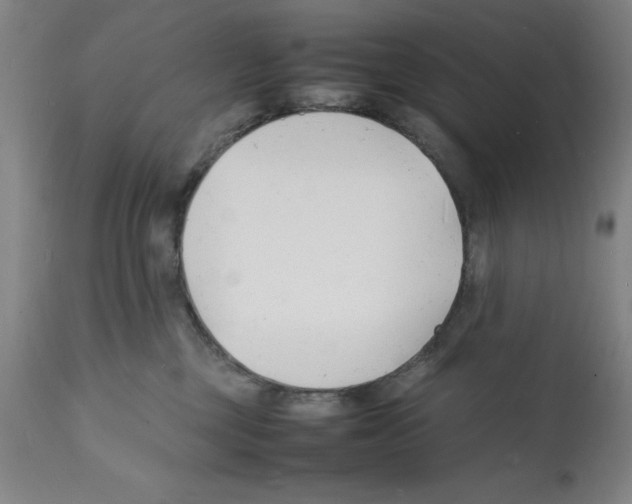 X0000112150377200909181429