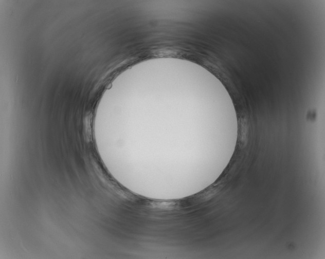 X0000112150378200909181429