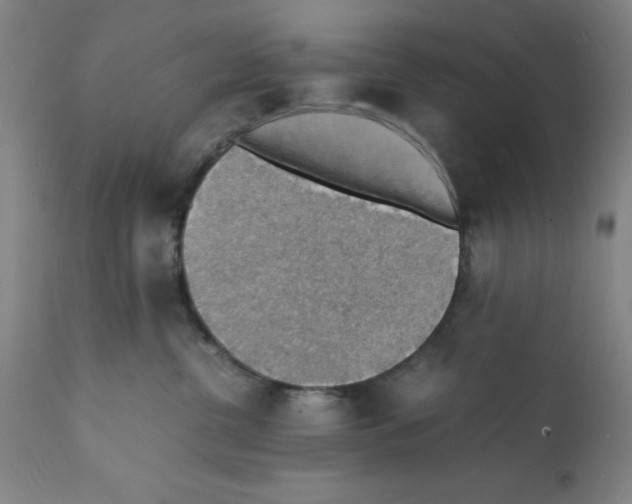 X0000112150380200909181429