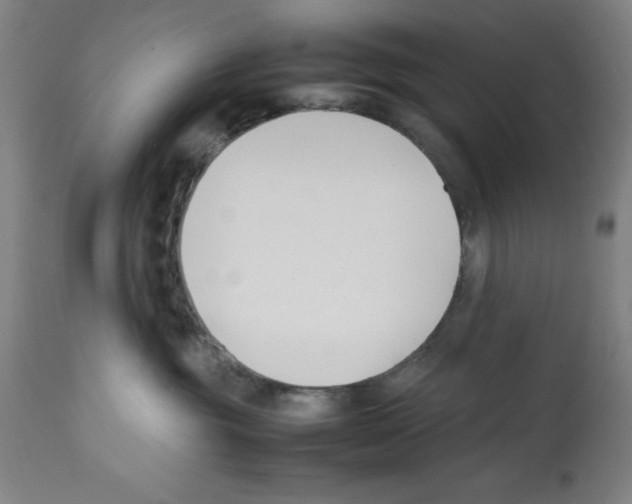 X0000112150381200909181429