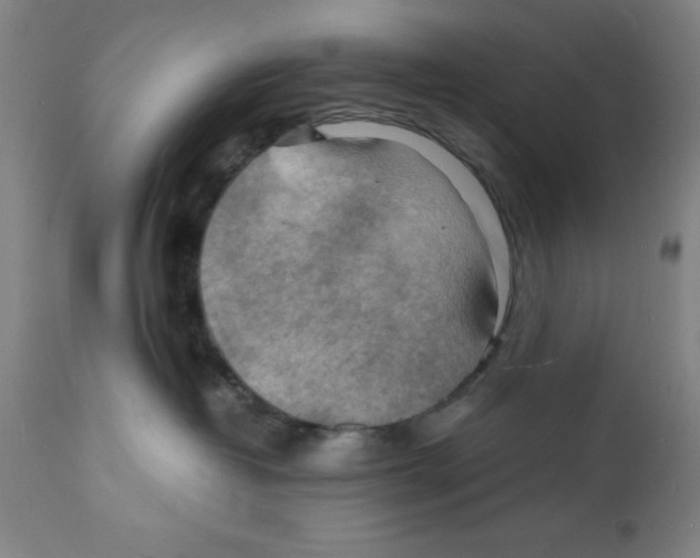 X0000112150382200909181429