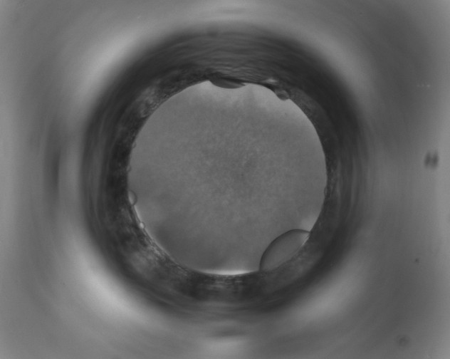 X0000112150383200909181429