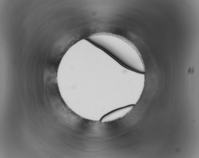 X0000112150384200909181429