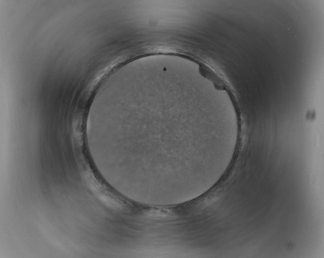 X0000112150386200909181428