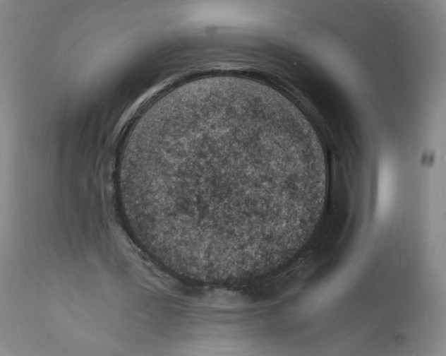 X0000112150387200909181428