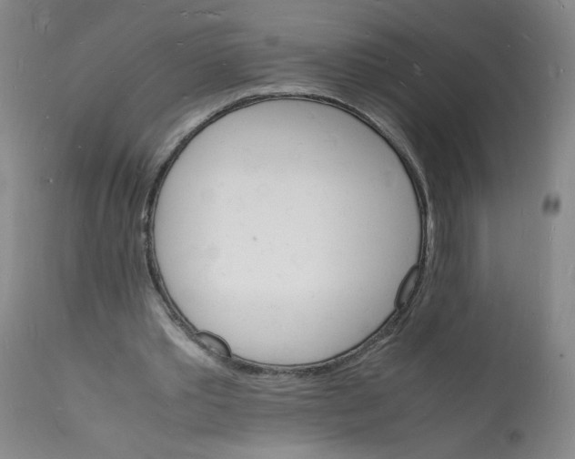 X0000112150389200909181428