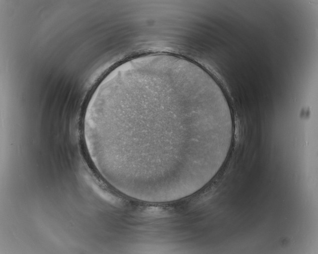 X0000112150390200909181428