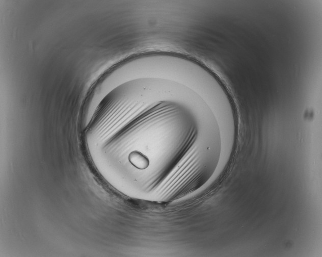X0000112150391200909181428