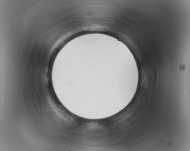 X0000112150392200909181428