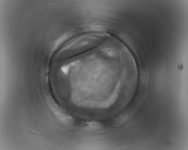 X0000112150395200909181428