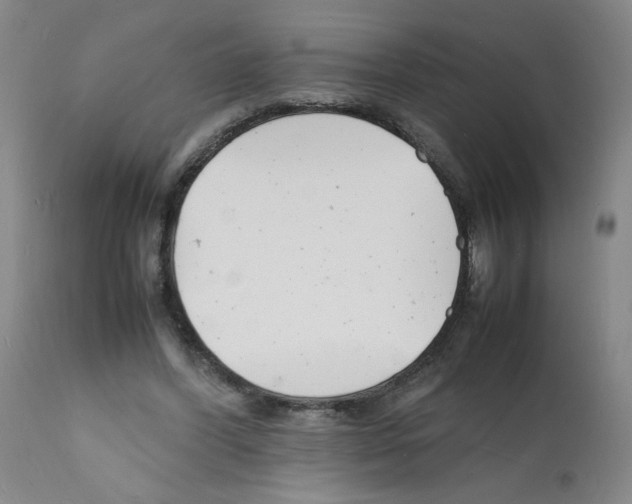 X0000112150396200909181428