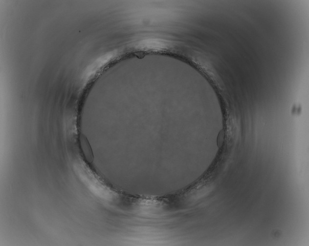 X0000112150399200909181428