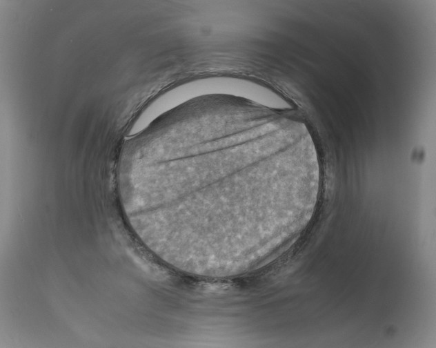 X0000112150401200909181428