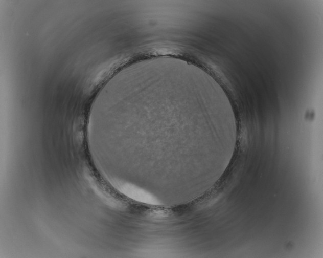 X0000112150402200909181428