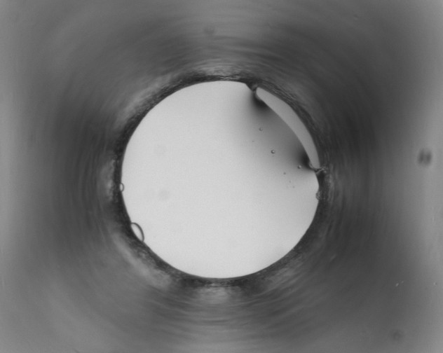 X0000112150404200909181428