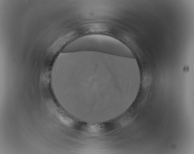 X0000112150405200909181428