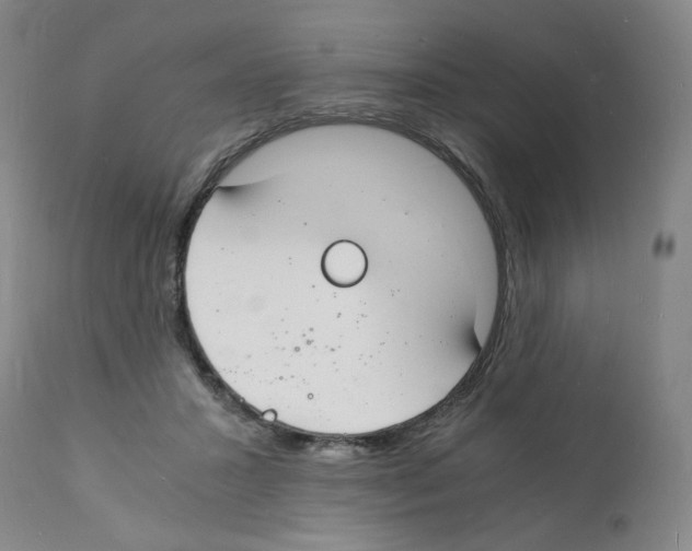 X0000112150407200909181428