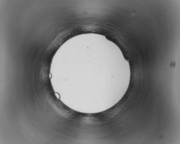 X0000112150408200909181428