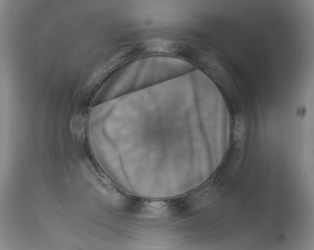 X0000112150409200909181428