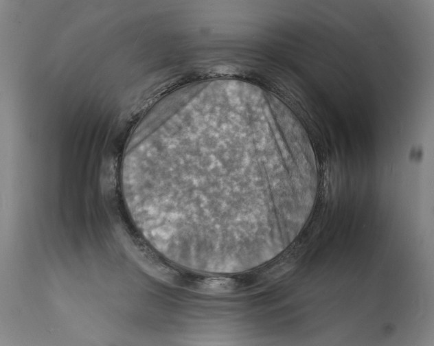 X0000112150410200909181428