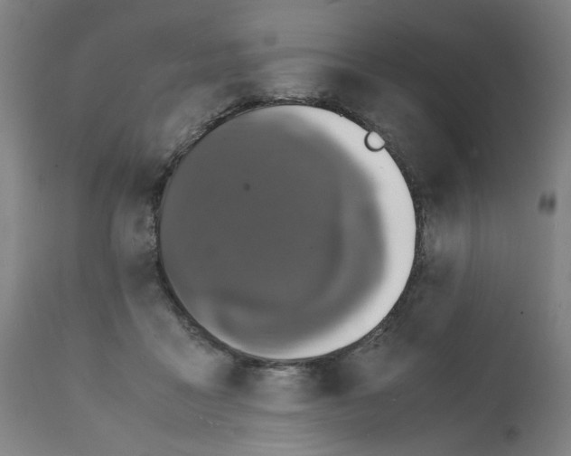X0000112150411200909181428