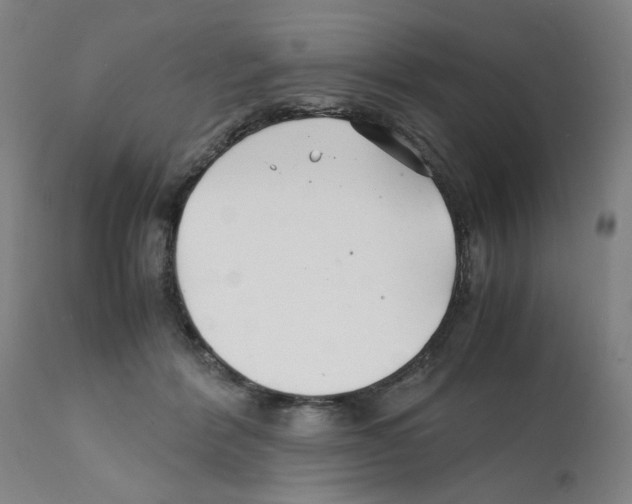 X0000112150412200909181428