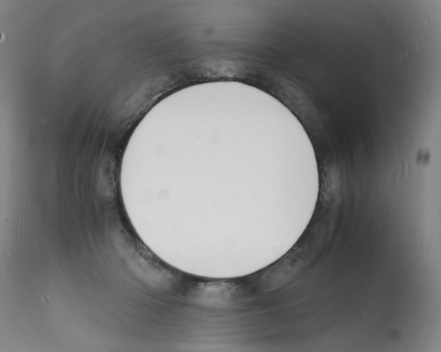 X0000112150414200909181428