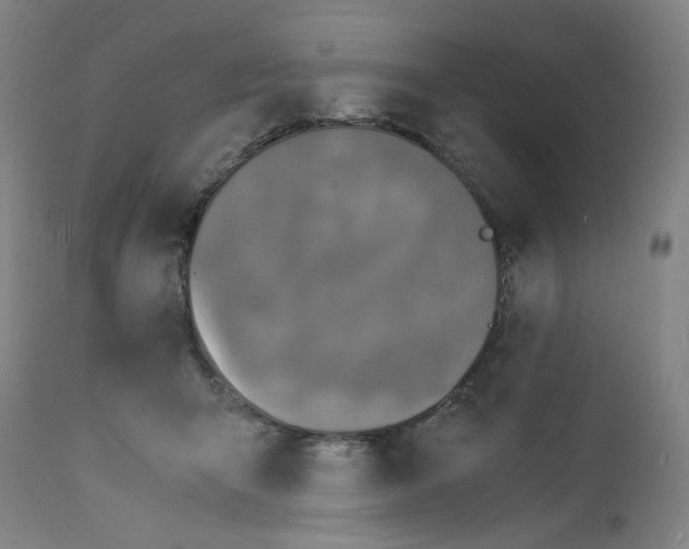 X0000112150415200909181428