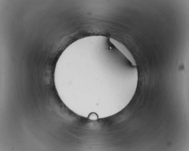 X0000112150416200909181428