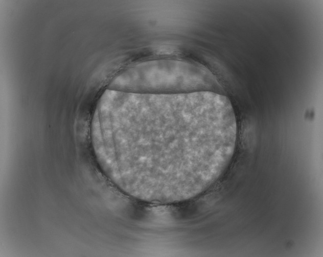X0000112150417200909181428